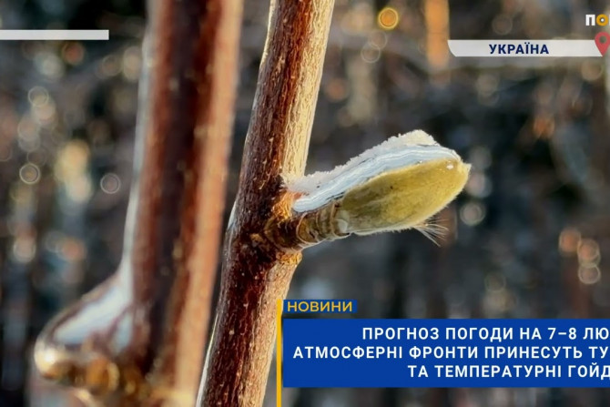 Головні новини - a106d302-9ffc-48a5-9c8d-64eb1c14d1ce - зображення